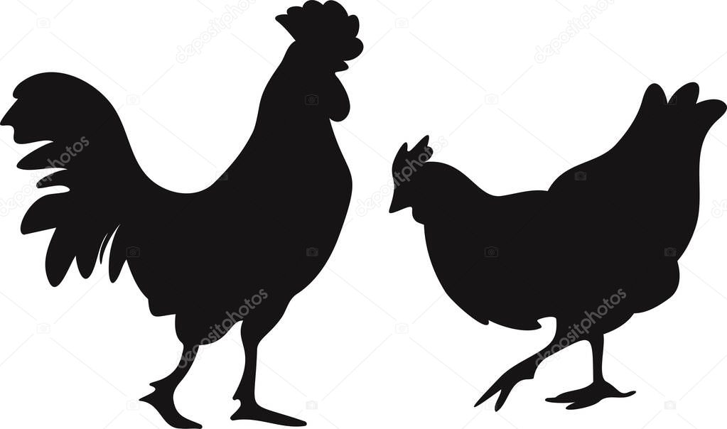 Vector illustration black silhouettes of hen and rooster isolated on a white background. Farm bird design.