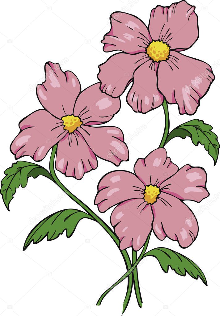 Vector illustration bouquet of colorful blooming flowers. Abstract pink flowers.
