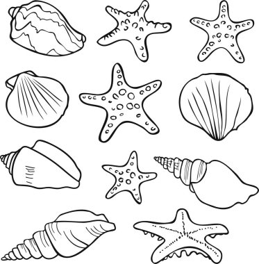 Siyah ve beyaz deniz kabuğu ve deniz kabuğu siluetleri. Boyama kitabı için tasarım. Vektör koleksiyonu.