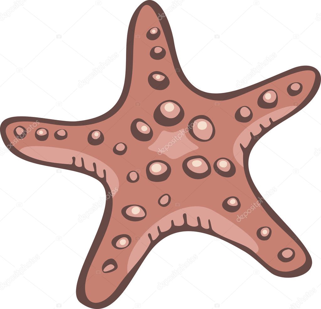 Vector illustration of starfish isolated on a white background. Design of sea star.
