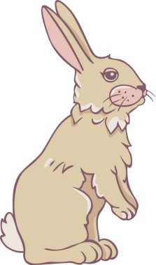 Çekici tavşanın vektör çizimi. Duran Tavşan.