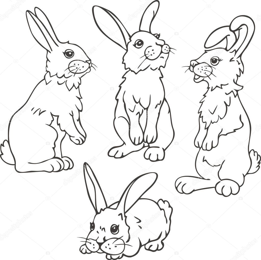 Vector set of four rabbits in different postures. Hare design for coloring book.