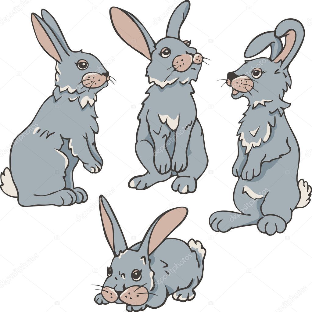 Vector set of four rabbits in different postures. Collection of hares.