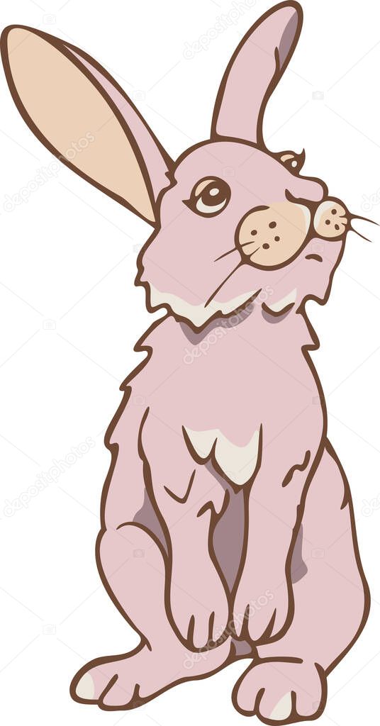 Vector illustration of cute rabbit. Standing hare.
