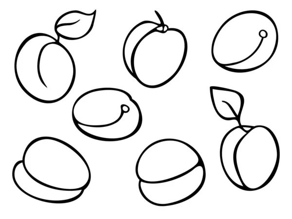 Set Vectores Con Frutas Albaricoque Diseño Para Libro Para Colorear — Vector de stock