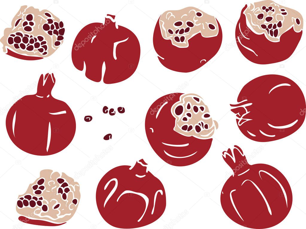 Vector set with pomegranate fruits. Design of colorful pomegranate.