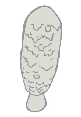 Coprinus Comatus 'un vektör çizimi. Kabarık mürekkep kapağı..
