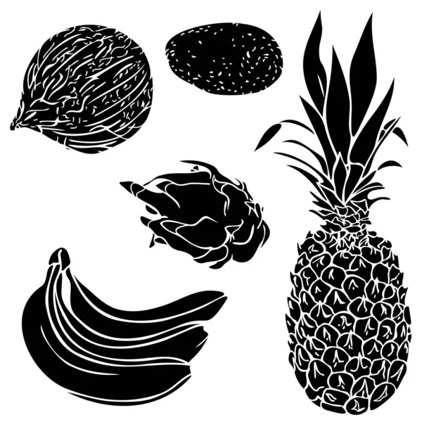 Ilustração Vetorial Com Coleção Silhuetas Frutos Exóticos Conjunto Silhuetas Coco — Vetor de Stock