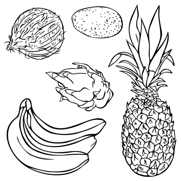 Ilustração Vetorial Com Coleção Frutas Exóticas Conjunto Frutas Tropicais Design — Vetor de Stock
