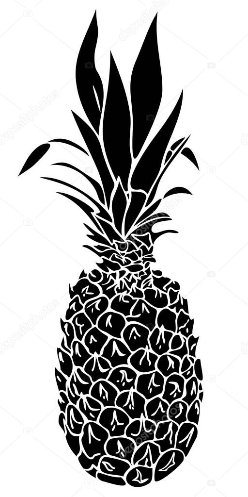 Vector illustration with silhouette of pineapple. Tropical food illustration.