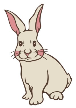 Pembe yanaklı sevimli tavşanın vektör çizimi. El çizimi tavşan..