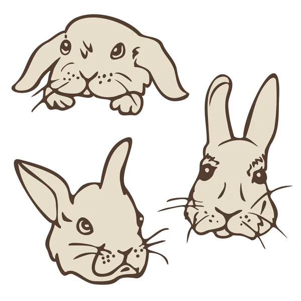 Illustration Vectorielle Avec Collection Visages Lapin Ensemble Visages Lapin Dessin — Image vectorielle