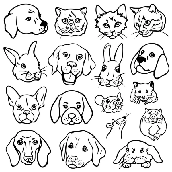 Ilustração Vetorial Conjunto Com Animais Estimação Rostos Cães Gatos Coelhos Ilustrações De Stock Royalty-Free
