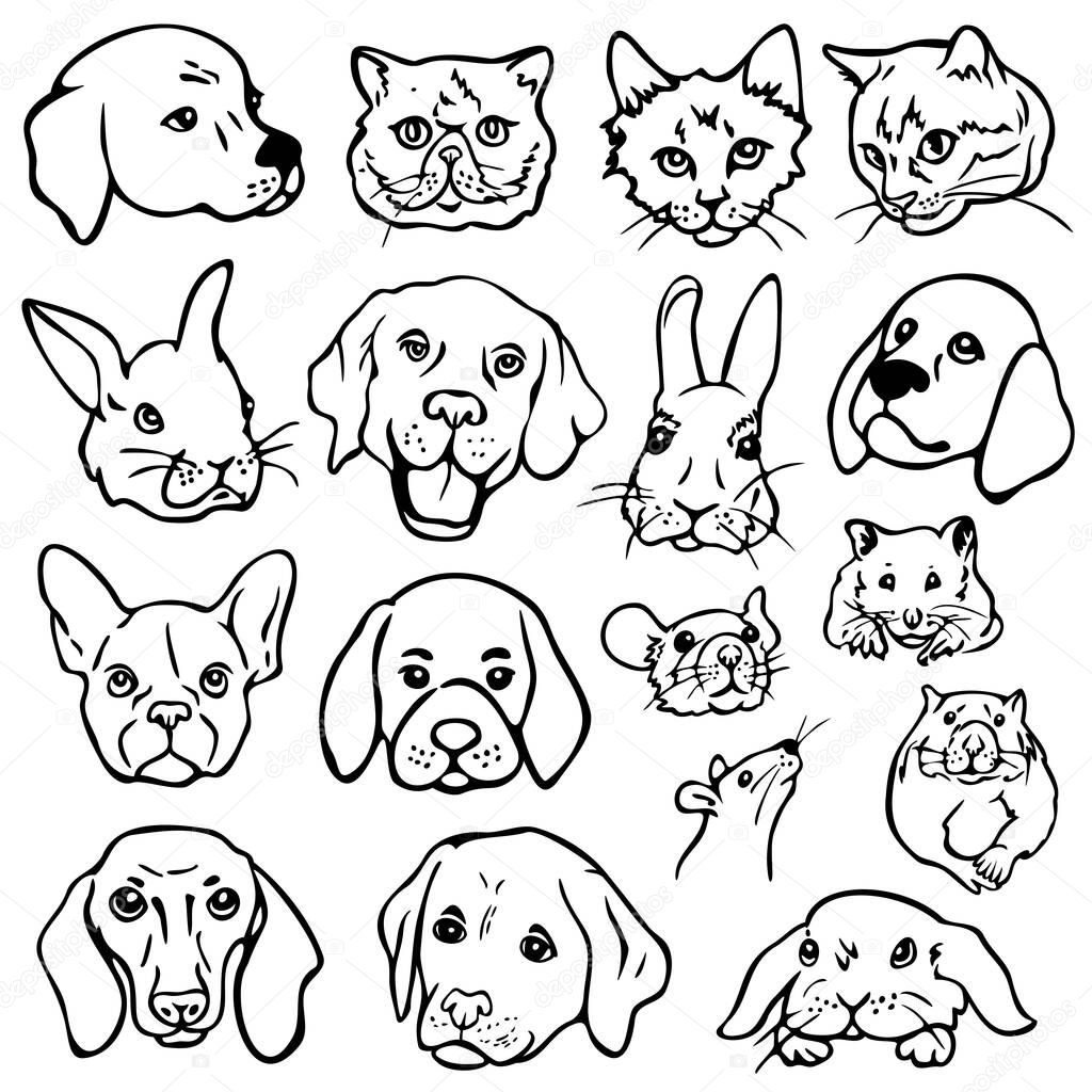 Vector illustration set with pets faces. Dogs, cats, rabbits, mice, rats, hamsters outline portraits.