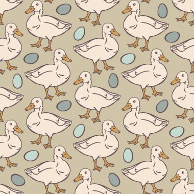 Evcil ördek ve yumurtalarla kusursuz bir desen. Beyaz ördekler ve açık arkaplanda mavi yumurtalar.