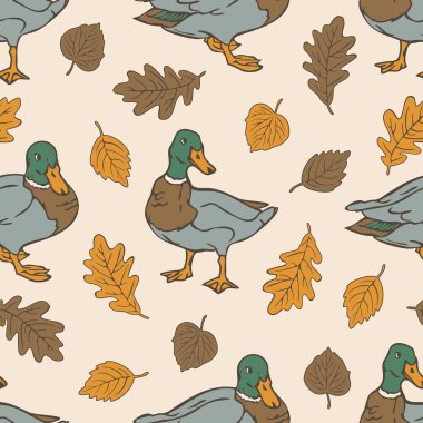 Sonbahar yaprakları ve drake 'li vektör pürüzsüz desen. Vahşi ördekler tasarla.
