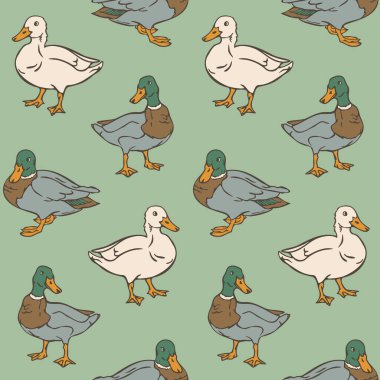 Ördeklerle kusursuz bir şablon. Yeşil arka planda yerli ve vahşi ördekler.