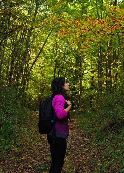 Jovem Caminhando Floresta Com Uma Mochila — Fotografia de Stock