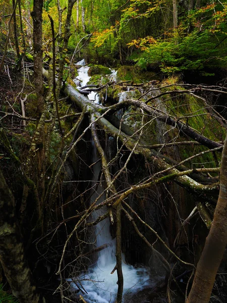 Cachoeira Floresta Andoin — Fotografia de Stock