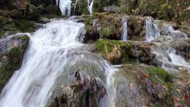Vista Una Pequeña Cascada Andoin Que Fluye — Vídeo de stock