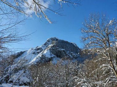 Mavi gökyüzü olan karlı bir dağın tepesi.