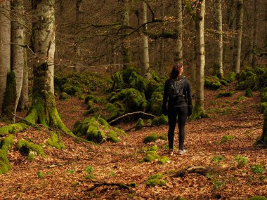 Urbasa ormanında yürüyüş yapan tanınmamış genç bir kadın.
