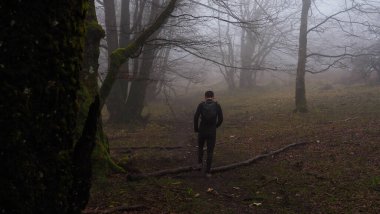 sisli bir ormanda yürüyen tanınmayan genç adam.