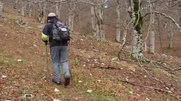 Unbekannter Mann Wandert Wald Von Urbasa — Stockvideo