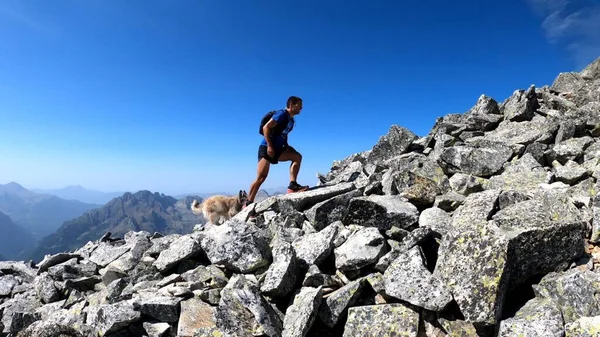 Genç adam dağlarda yürüyüş yapıyor.