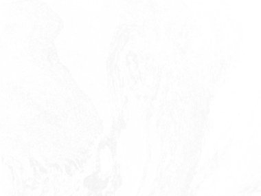 Doku için soyut beyaz arkaplan kullanımı.