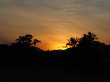 Ağaçlı soyut Günbatımı, arkaplan olarak kullan.