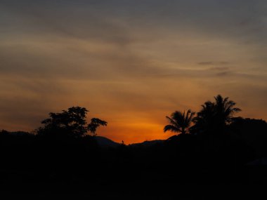 Ağaçlı soyut Günbatımı, arkaplan olarak kullan.