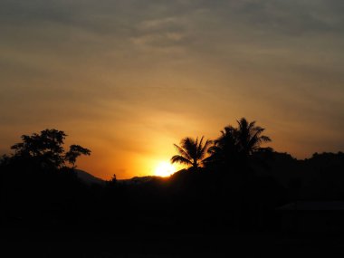 Ağaçlı soyut Günbatımı, arkaplan olarak kullan.