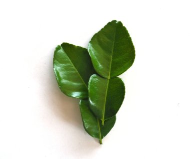 Abstract Green leaves, green vegetable, green herb leaf use as food, isolated on white Background.