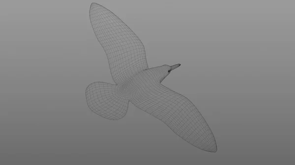 3Dイラスト 飛行中のカモメのメッシュ — ストック写真