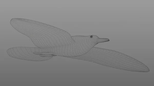 3Dイラスト 飛行中のカモメのメッシュ — ストック写真