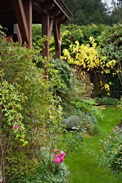 Terrasse Und Garten Grünen — Stockfoto