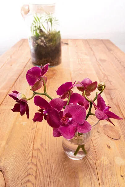 Elrendezése Egy Orchidea Növények Egy Üvegben Asztalon Készült Fenyőfa Táblák — Stock Fotó