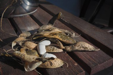 Ahşap bir masada kabuklu kuru fasulye.