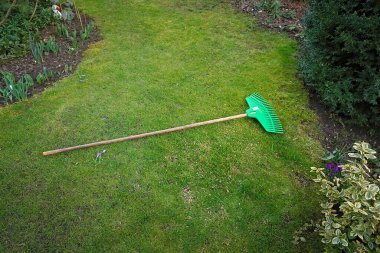 Çimlerin üzerinde tahta saplı plastik çim tırmığı.