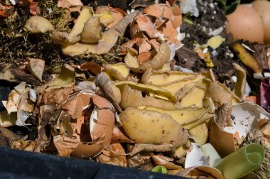 Biyo bozunabilir atıktan bir arka bahçe komposteri. 