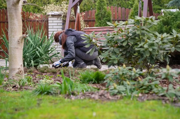 Una Donna Sta Lavorando Giardino All Inizio Della Primavera — Foto Stock