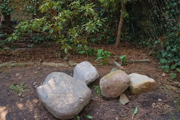 Duże Kamienie Polne Leżące Zacienionym Ogrodzie — Zdjęcie stockowe