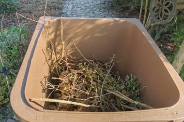 Bitkilerin dalları ve parçaları biyolojik olarak ayrıştırılabilir atık konteynırına konmuş. 