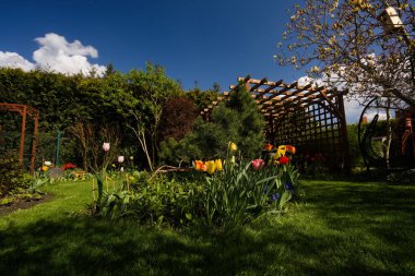 Laleler ve bahçedeki diğer bahar çiçekleri. 