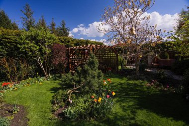 Laleler ve bahçedeki diğer bahar çiçekleri. 