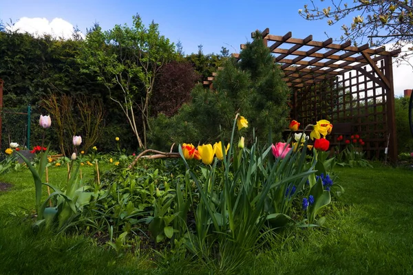 Tulips Other Spring Flowers Garden Gazebo — Stock Photo, Image