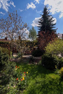 Baharda, güneşli bir günde bir sürü ağaç ve çimenlik bir bahçe. 