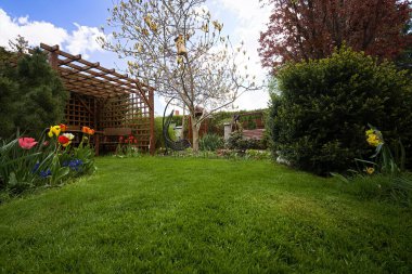 Baharın başında çimenli, çiçekli ve manolyalı bir bahçe