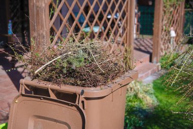 Bahar bahçesinde kesilmiş dalları olan plastik bir kap. 